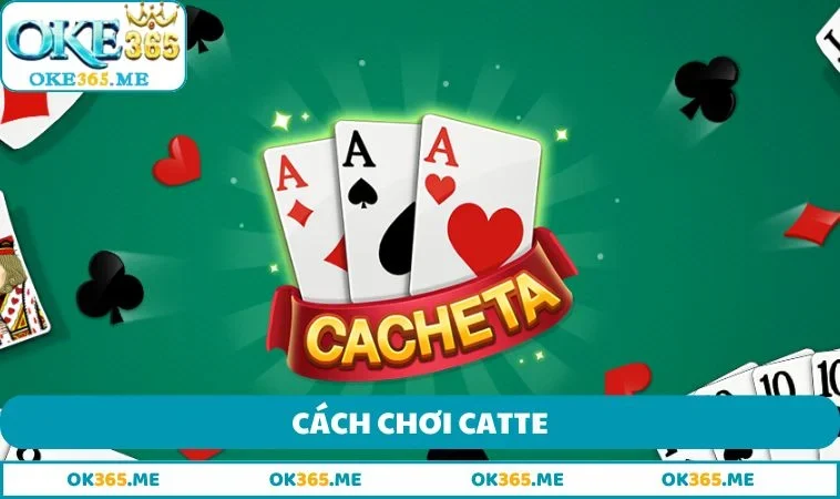 Cách chơi Catte